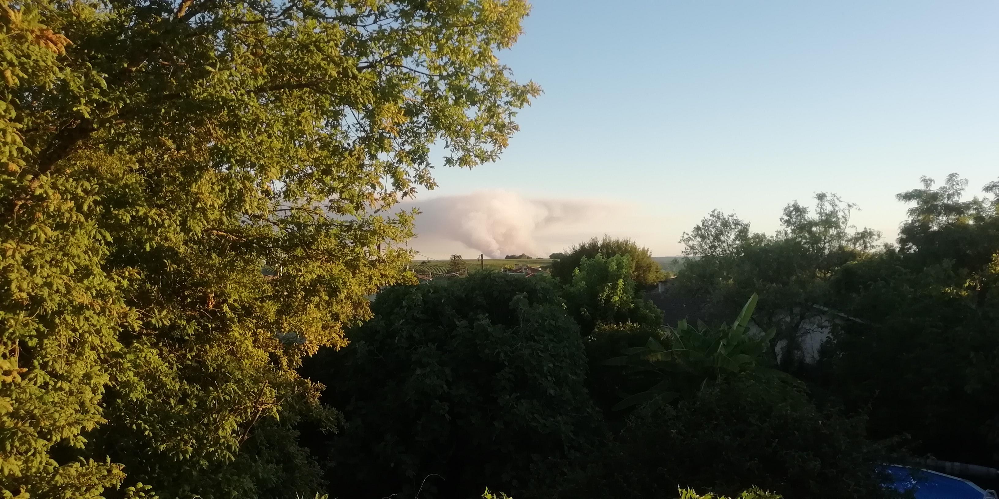 feu de forêt à Landiras