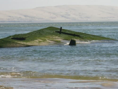 blockos cap ferret