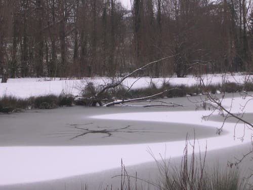 Etang Sainte-Eulalie