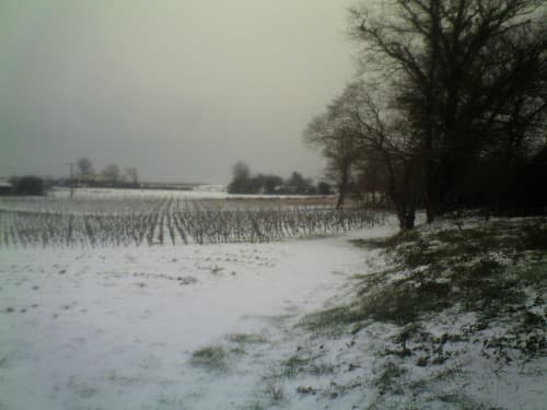 Neige à Saint-Ciers-sur-Gironde