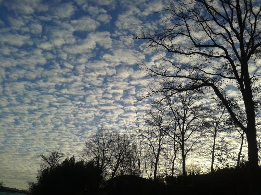 Altocumulus au lever du jour .