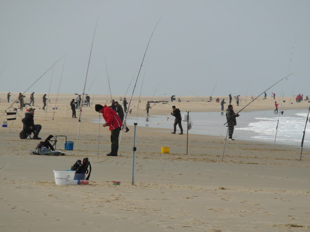 concour de pêche sur la lagune