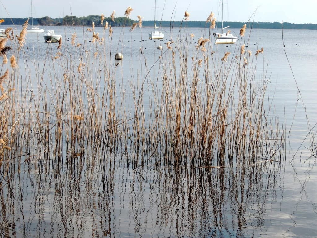 le lac
