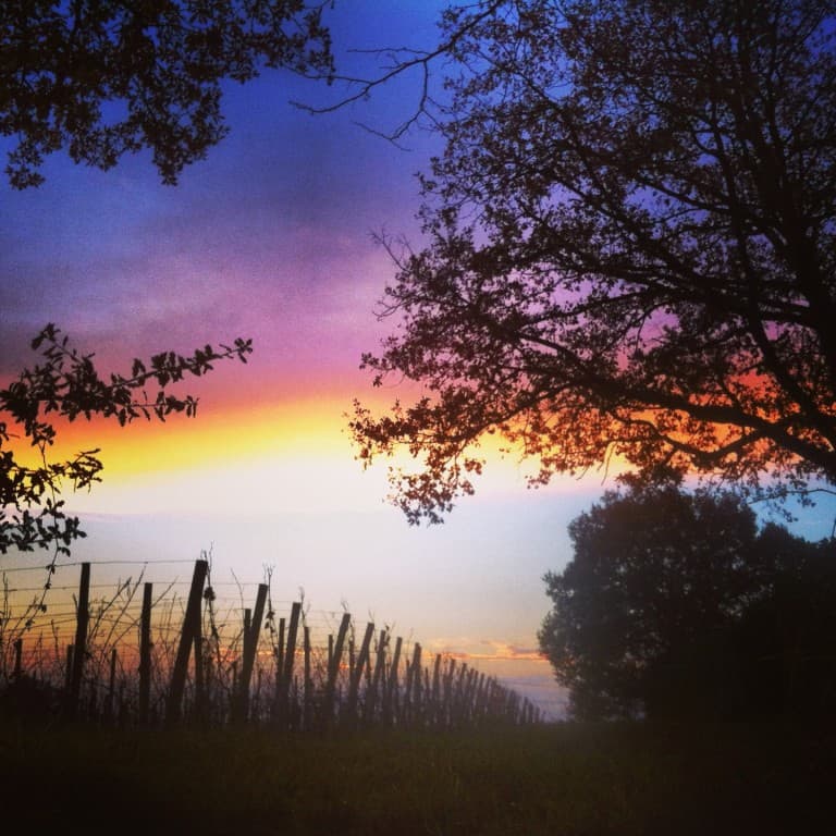 Soleil couchant sur le Libournais