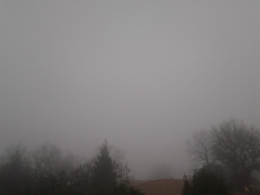 Brouillard presque givrant ce matin