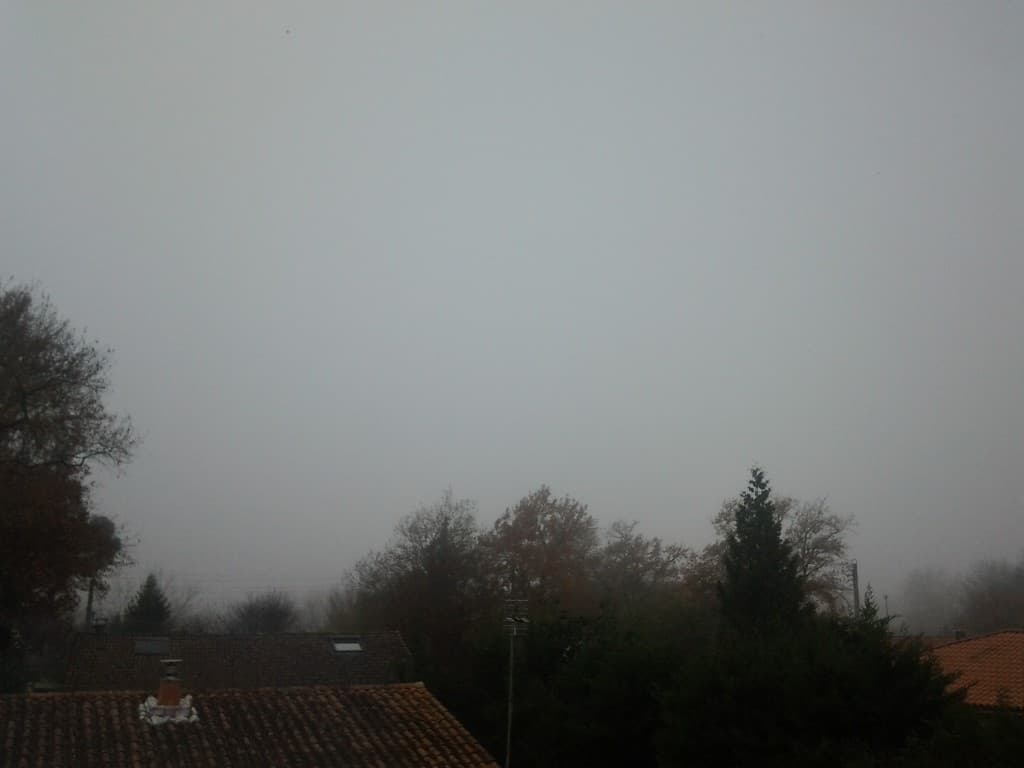 Brouillard tenace en ce milieu d'après midi. 