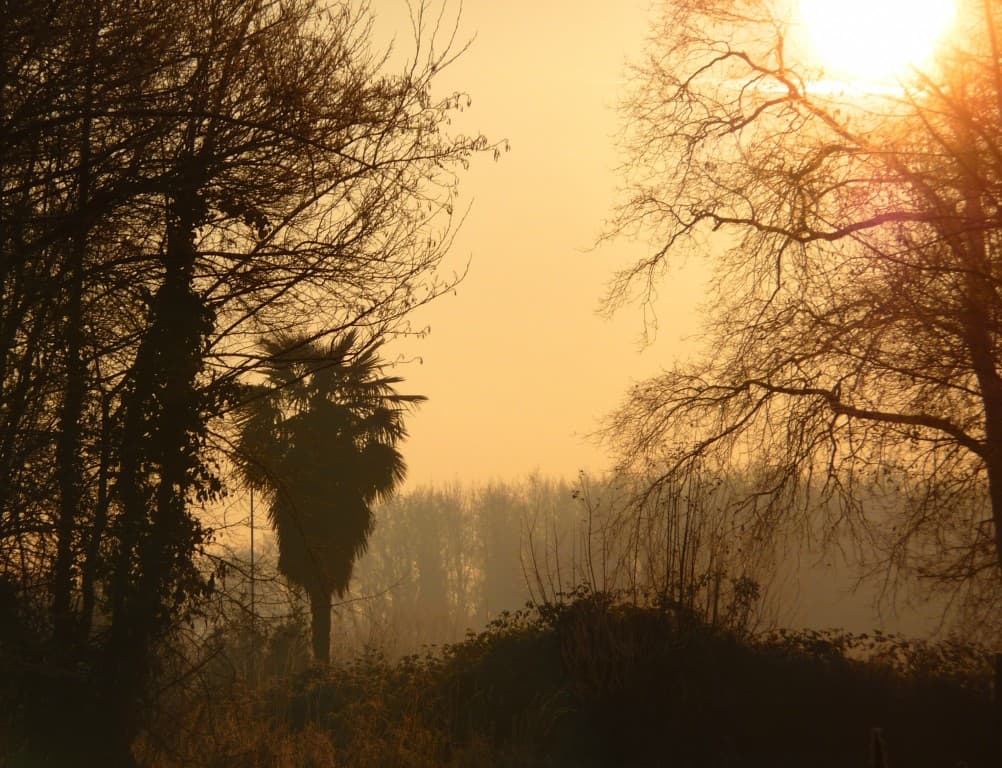le premier soleil de l'année