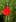Madame  coquelicot 