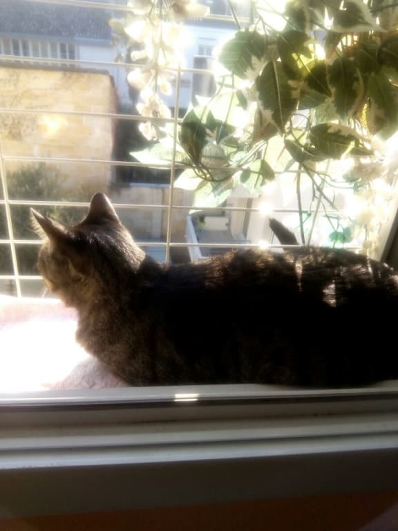NoÃ«l au balcon ....... !