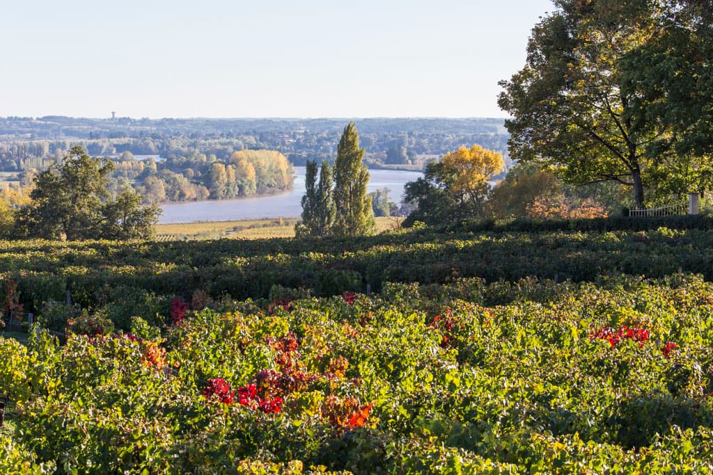 Paysage du Fronsadais