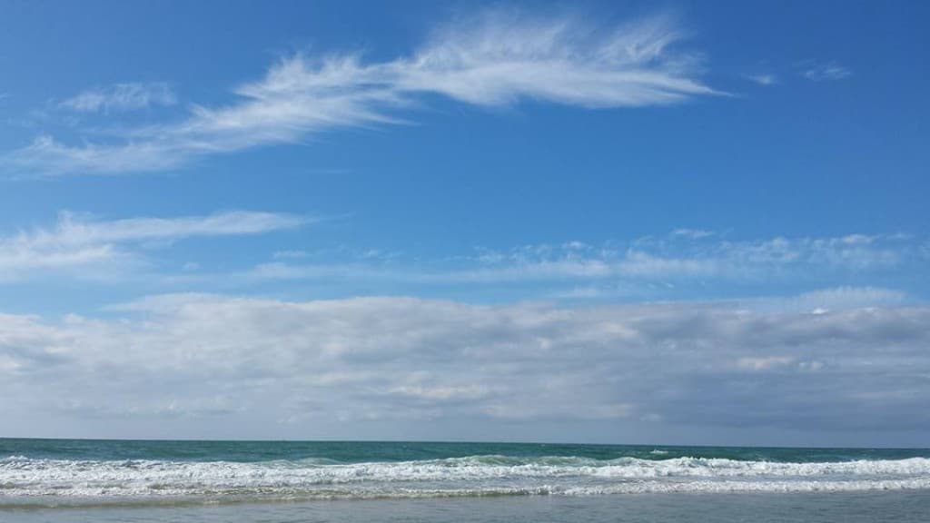 Plume d'ange