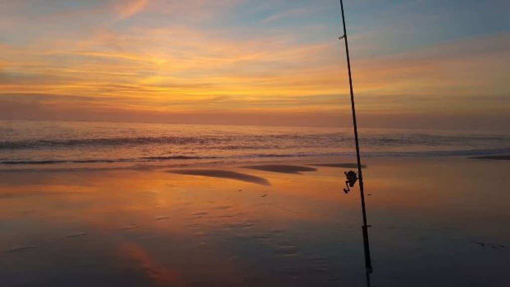 surfcasting airport