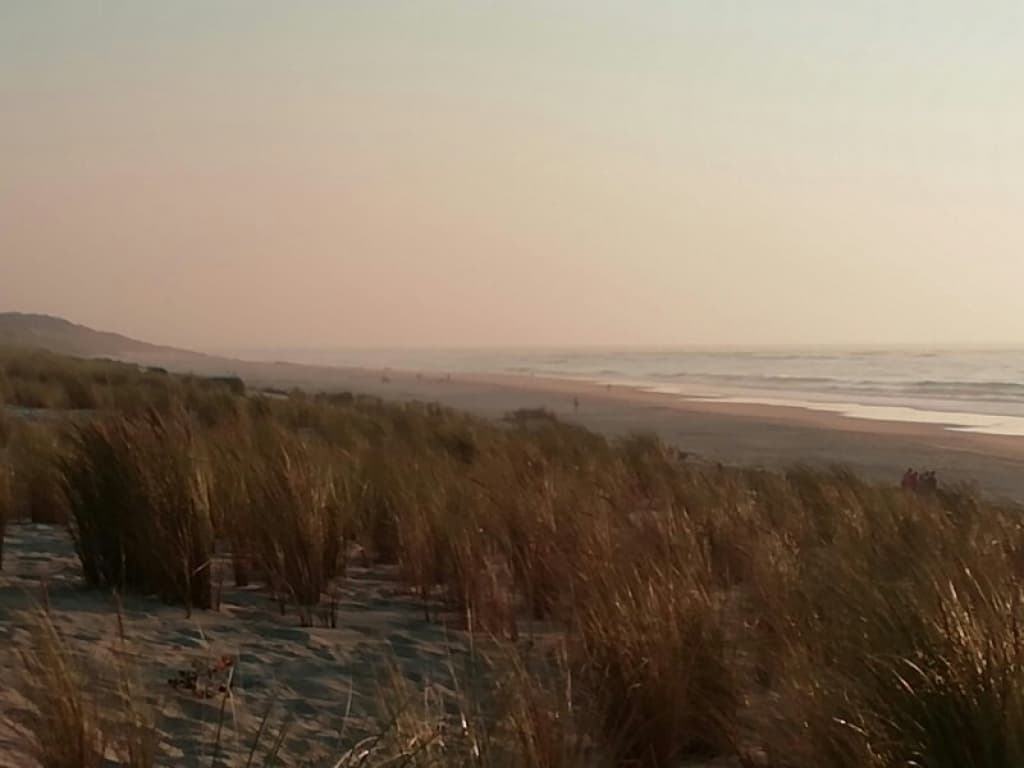 en regardant le vent sur la mer