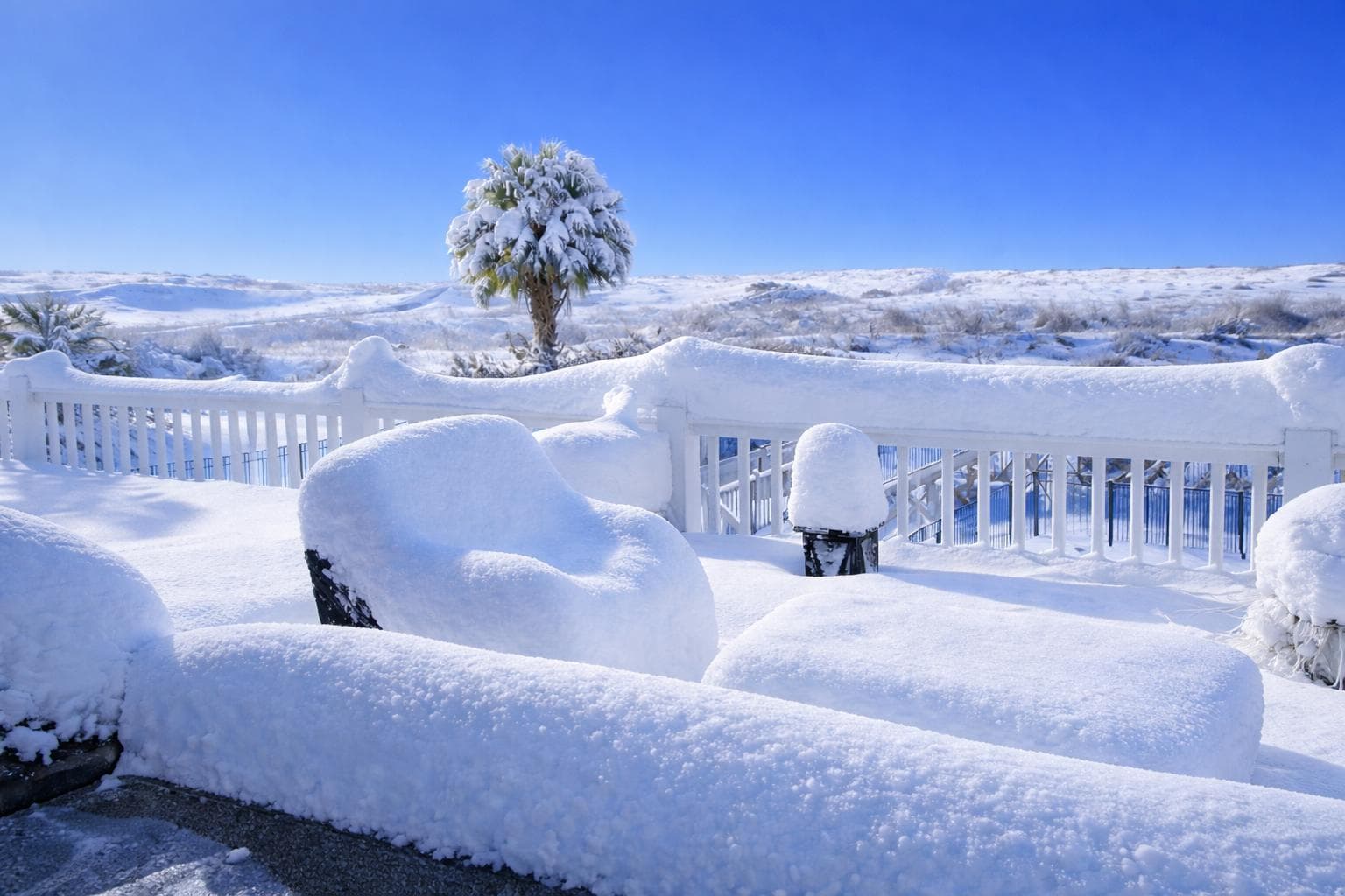 Records de froid et tempête de neige dans le sud-est des États-Unis