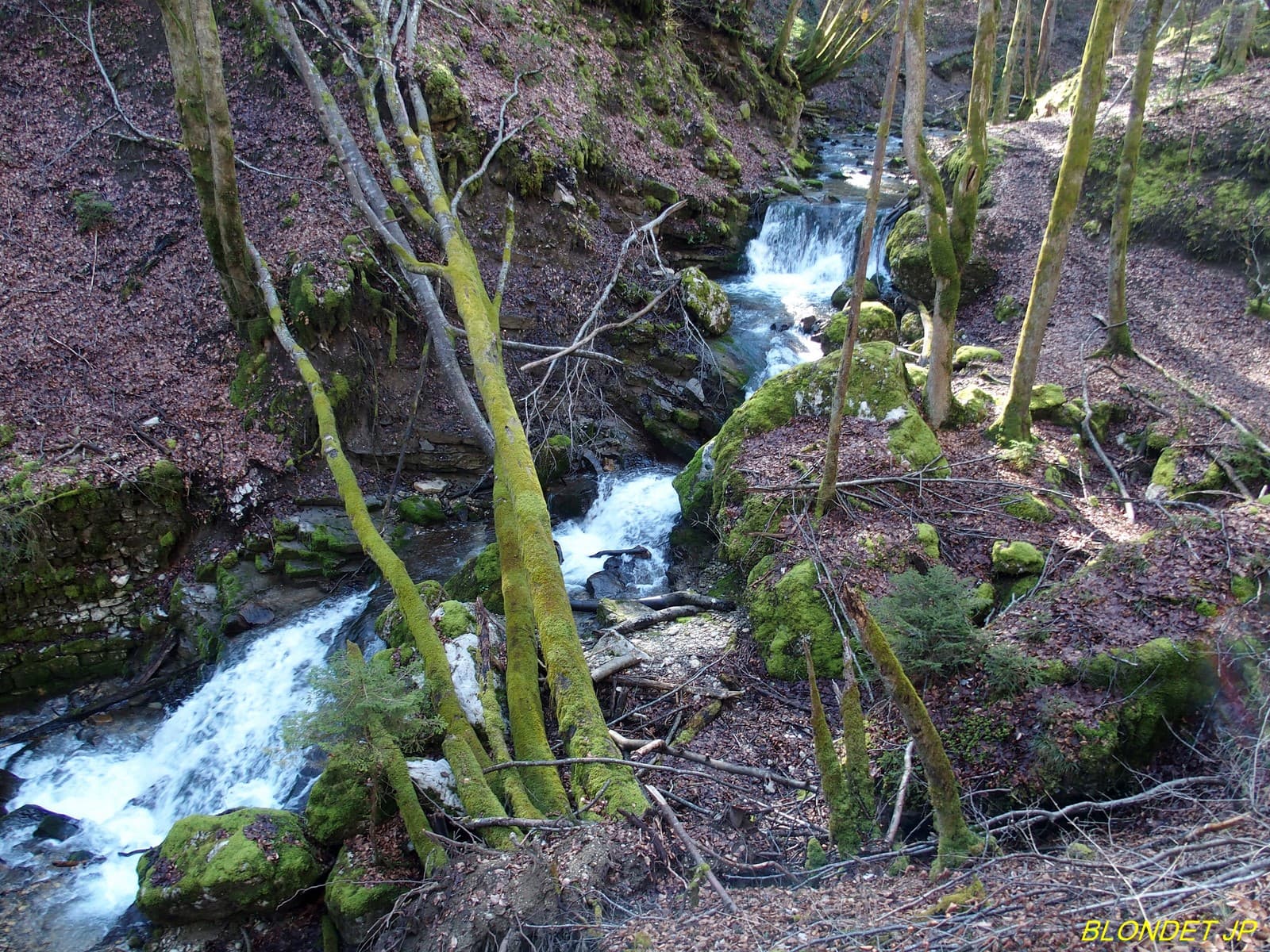 Ruisseau Bruyant