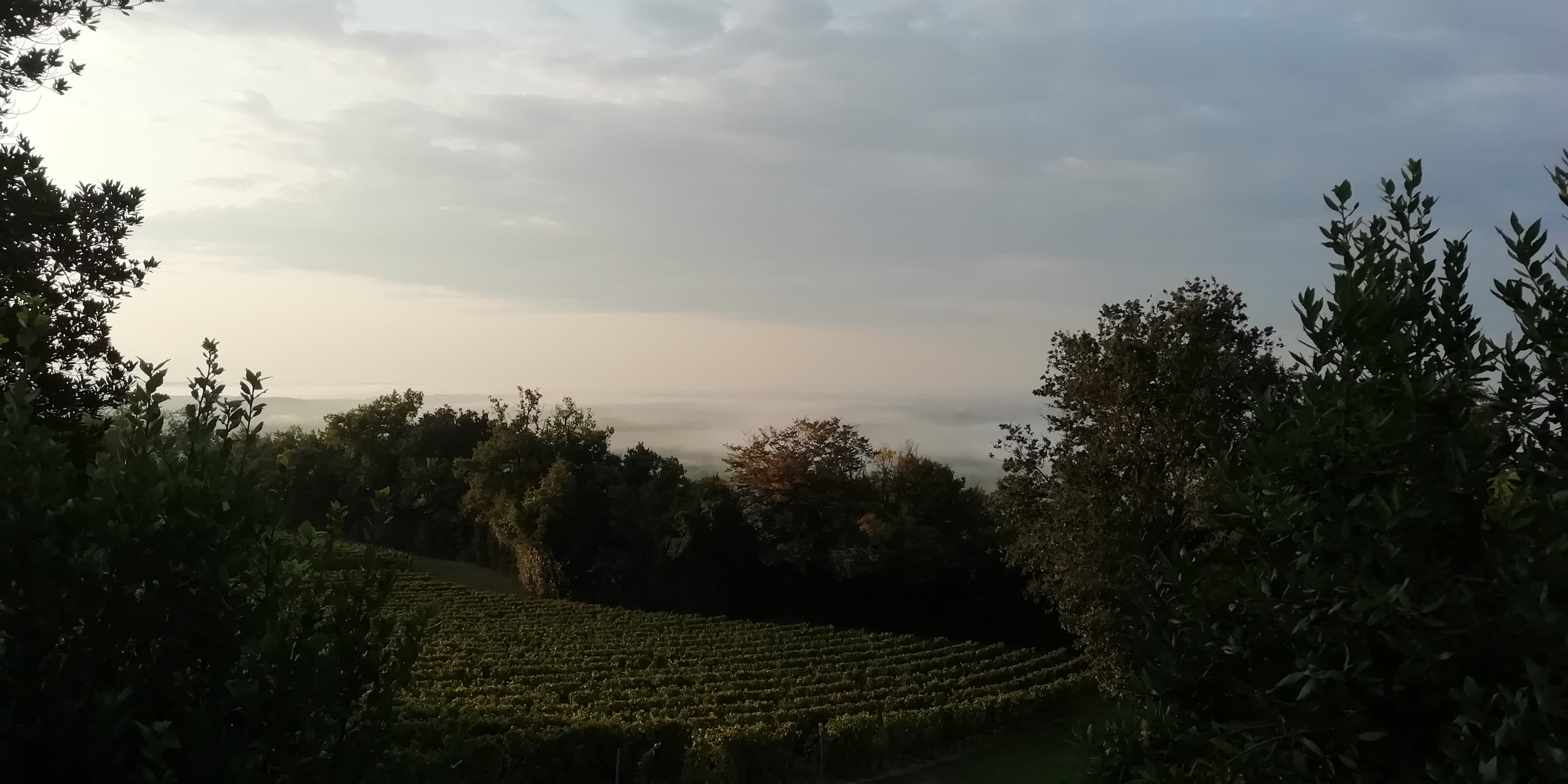 Hauteurs de Baurech, brume sur la Garonne