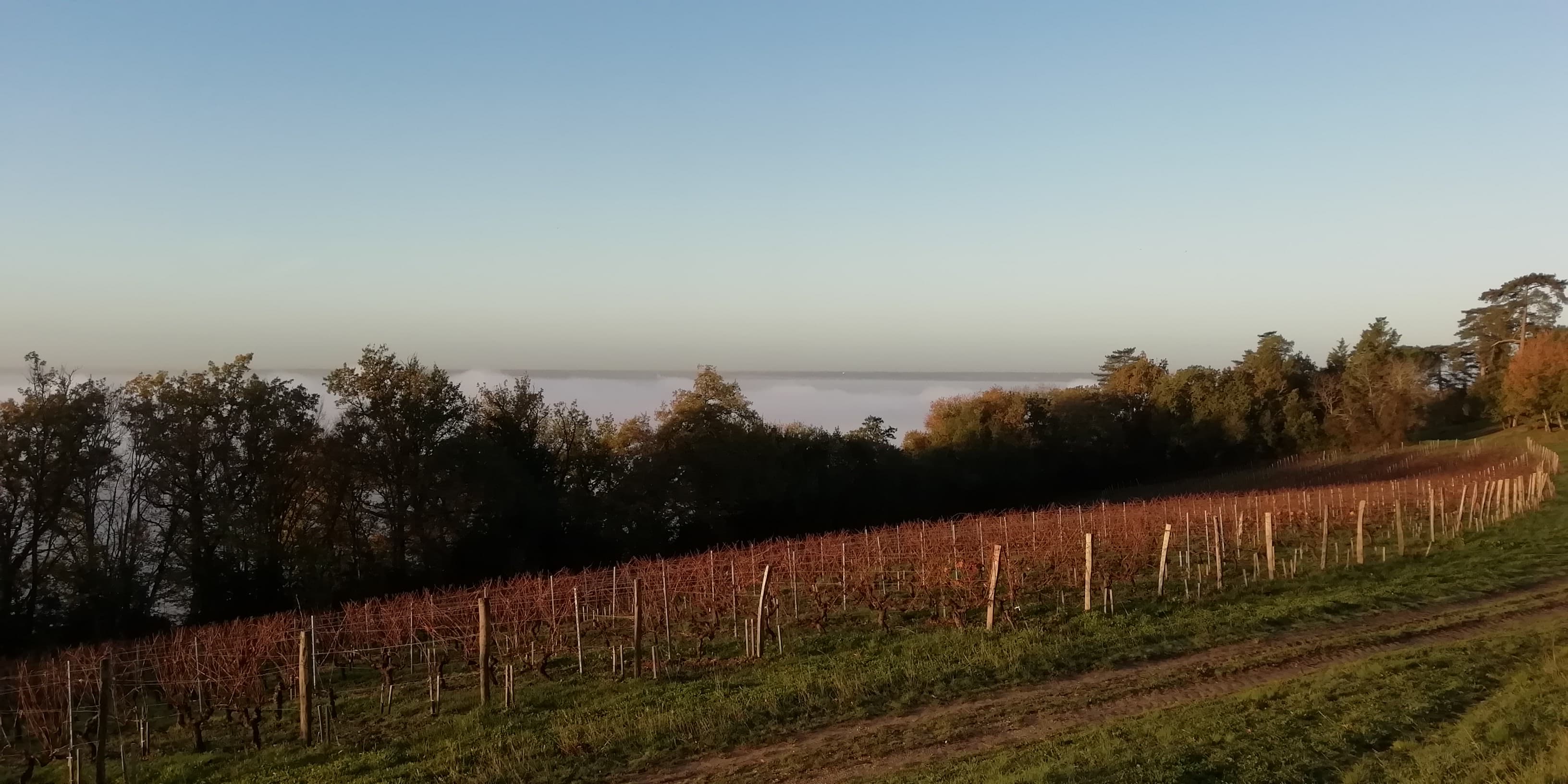 Brouillard sur la Garonne, soleil sur les hauteurs