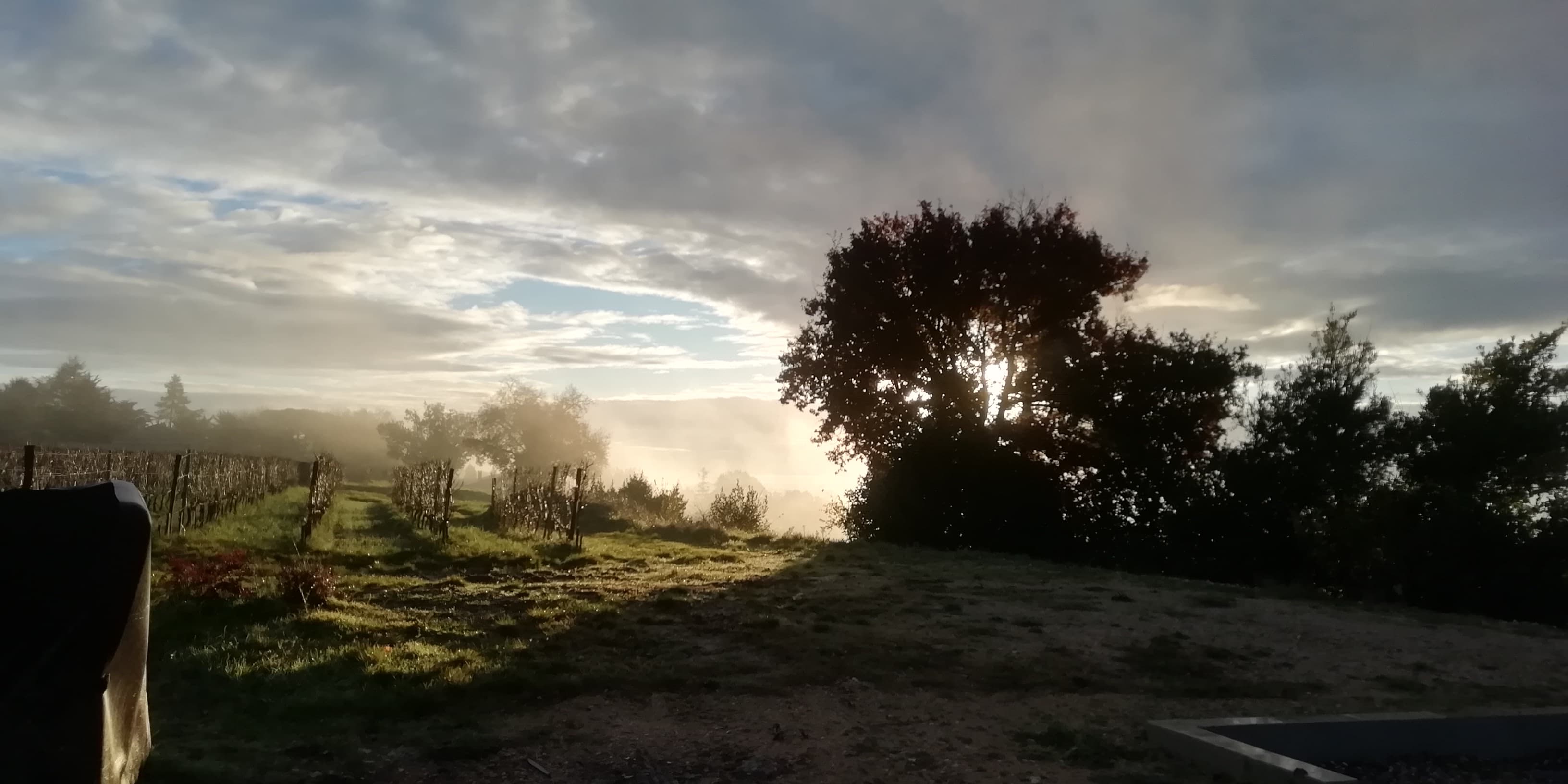 le soleil réchauffe la terre endormie