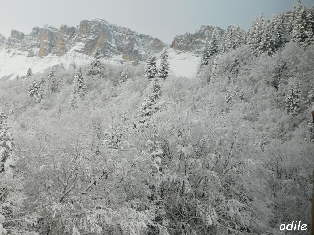 Bulle froide en Vercors