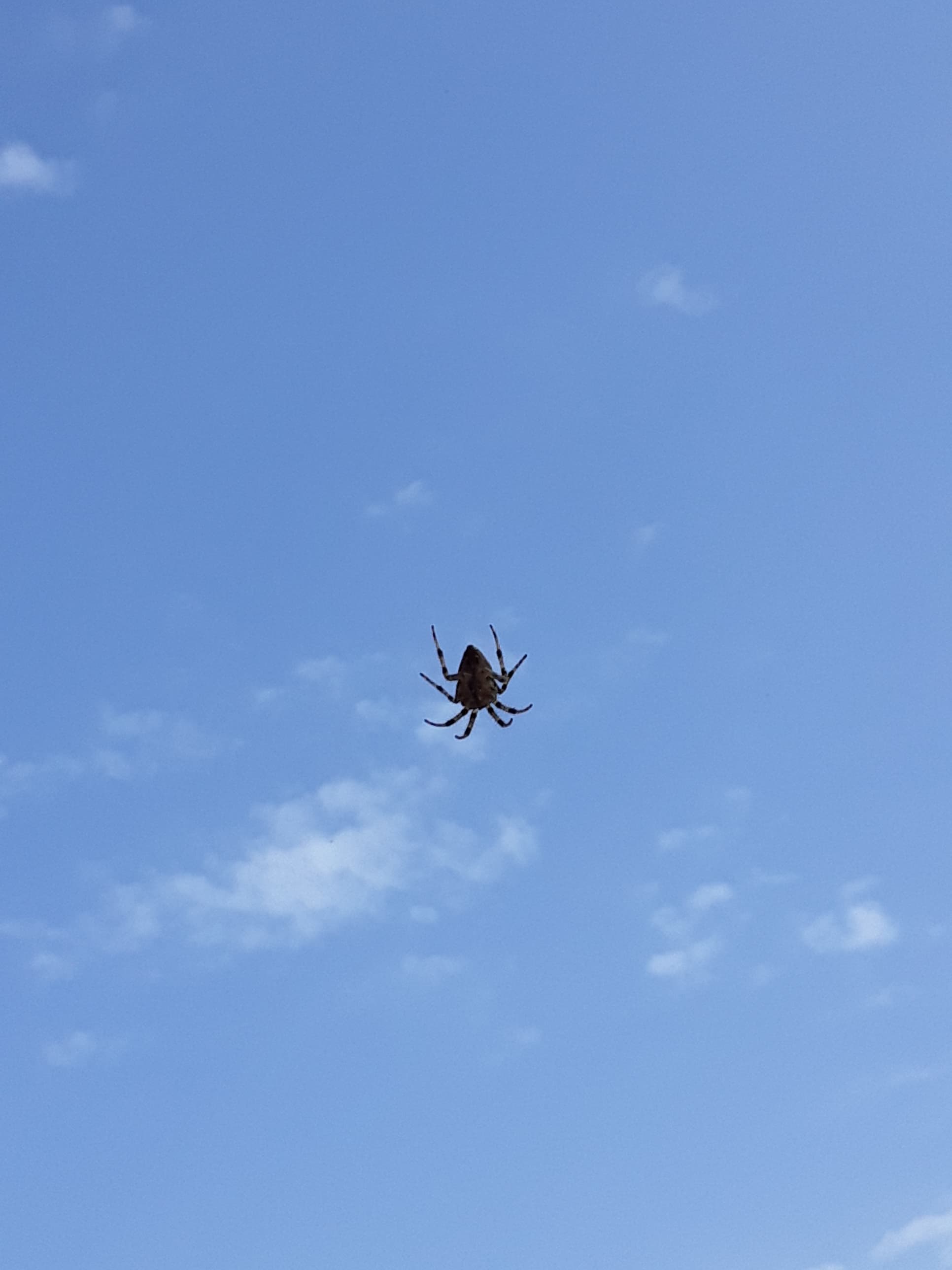 La tête dans les nuages