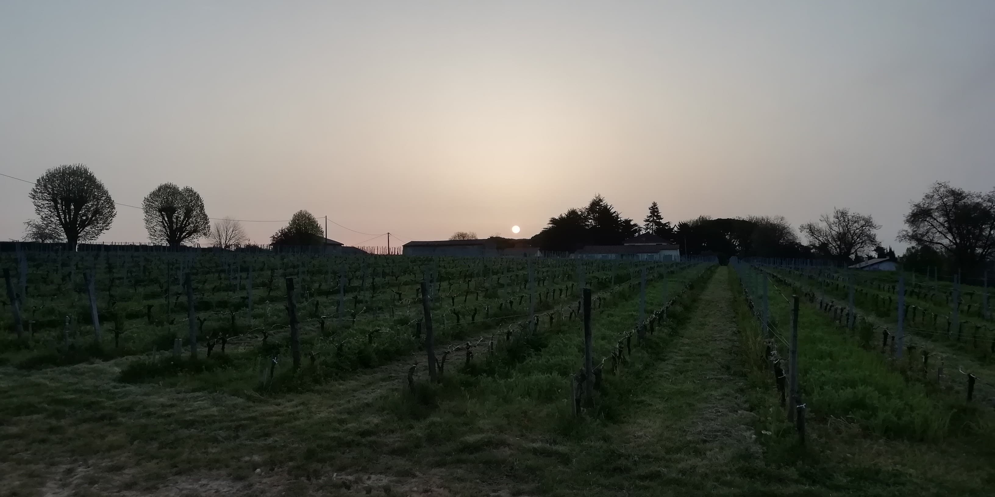 lever du soleil sous un ciel voilé