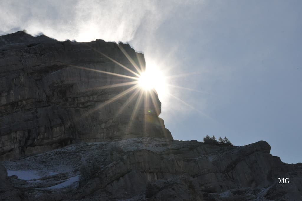 A cache cache avec le soleil du matin !!!