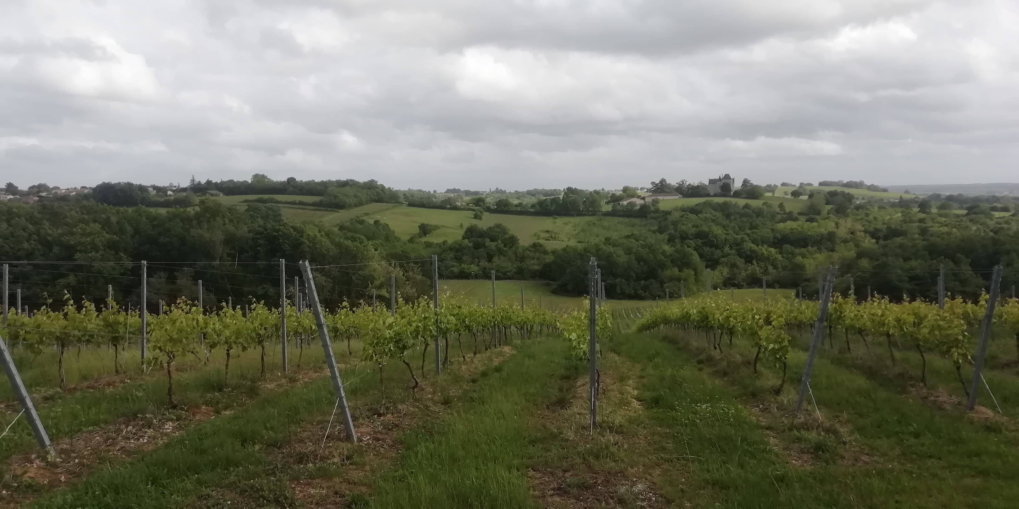 Château Fauchey et Villenave de Rions depuis les abords du Clos Sainte Anne