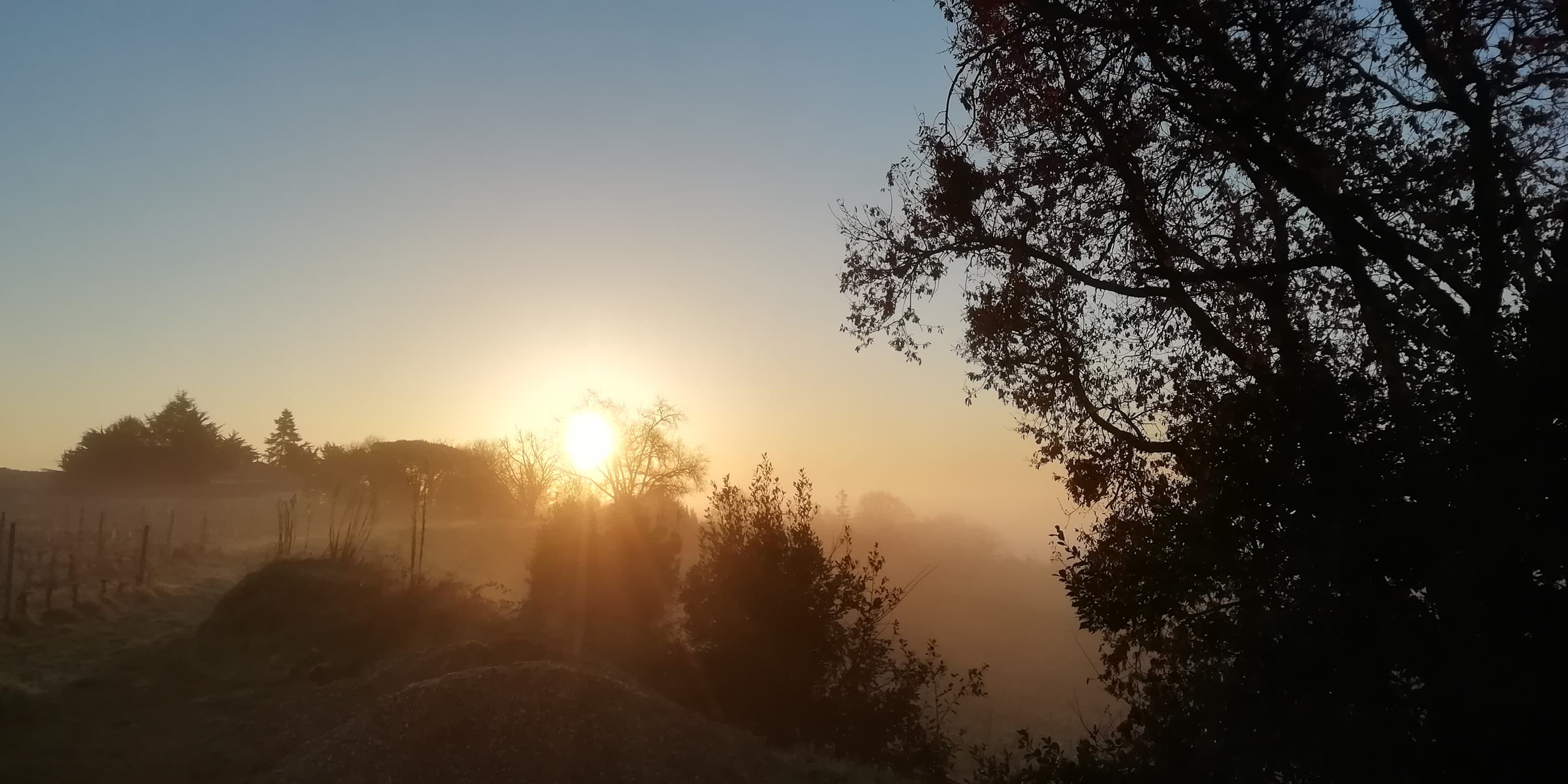 légère brume à l'aube sur les hauteurs de Baurech