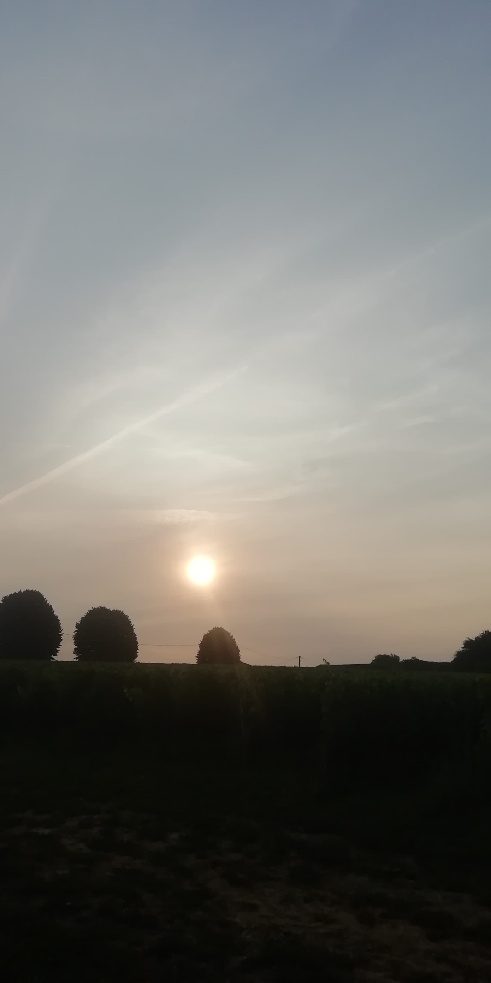 Voile laiteux au lever du soleil,  (fumées des incendies canadiens ?)