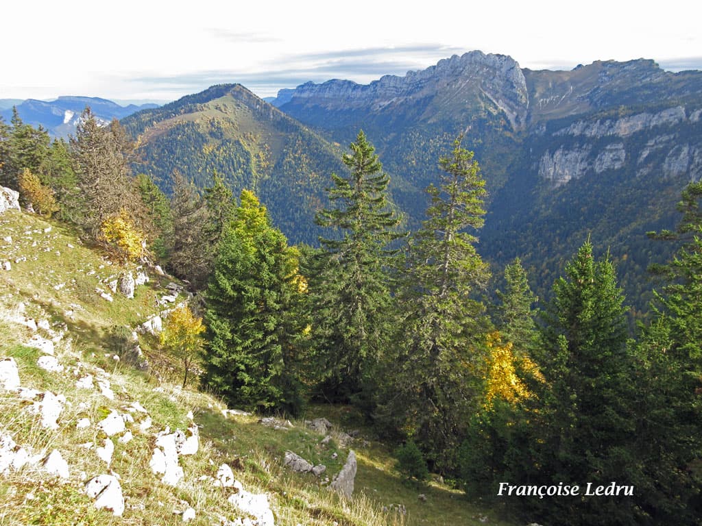 couleurs d'automne