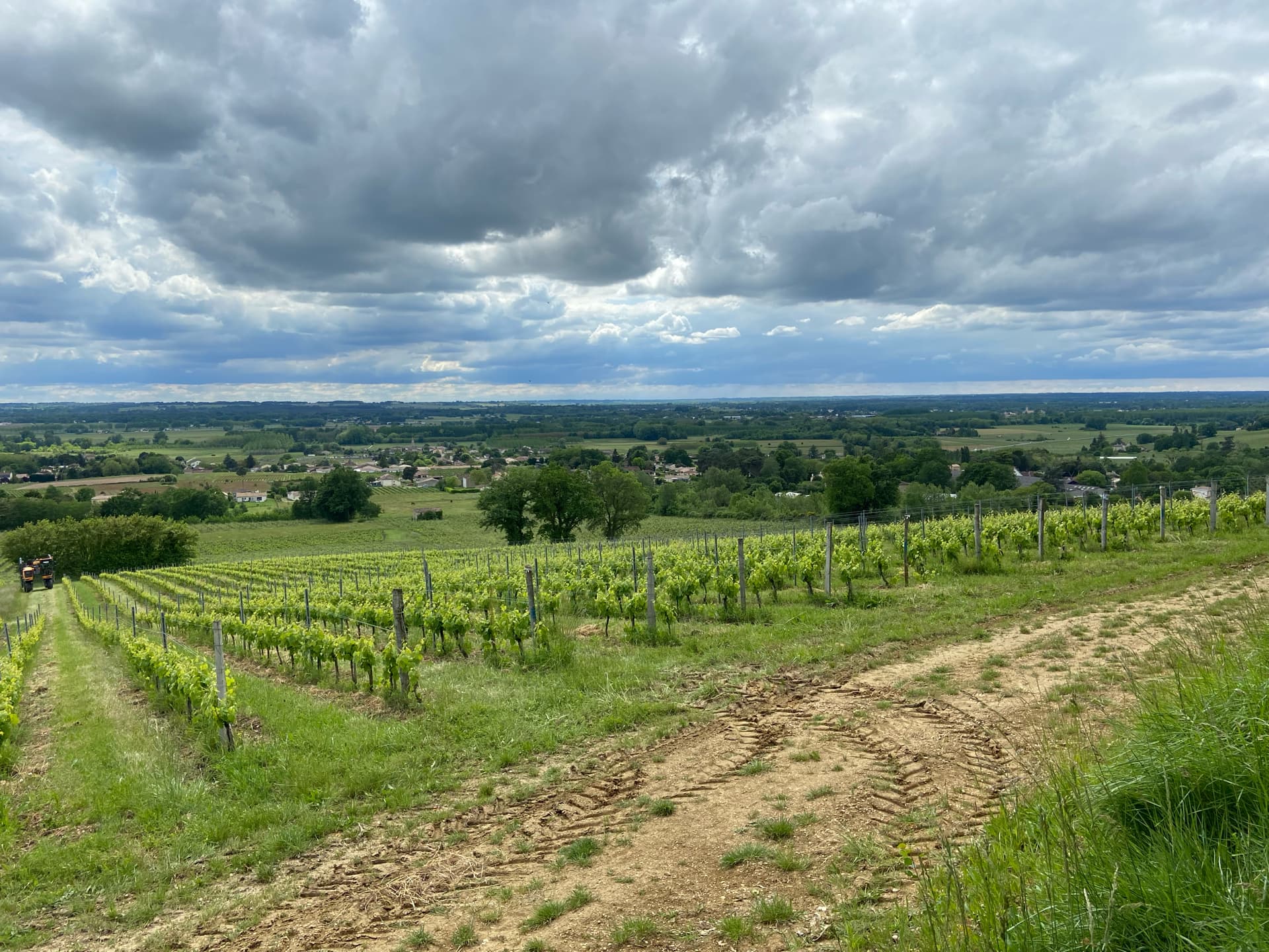 ciel-lourd-sur-les-vignes