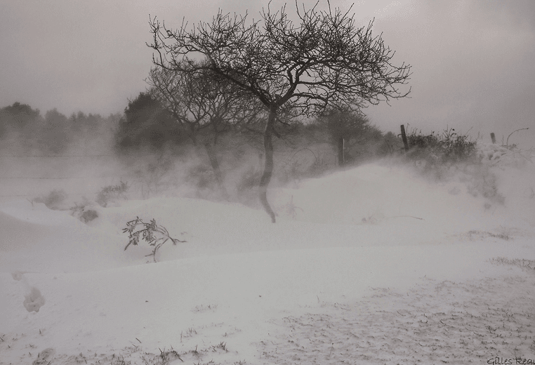 Image d'illustration pour Douceur - Un hiver doux persistant sur la France ?