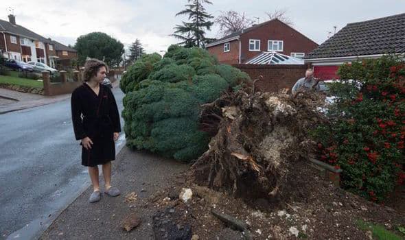 Image d'illustration pour Bilan du passage de Dirk sur les Iles Britanniques