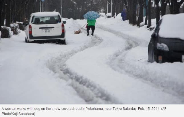 Image d'illustration pour Tempêtes de neige mortelles au Japon