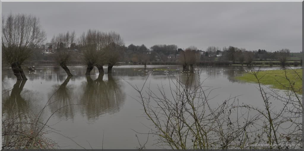 Image d'illustration pour Crue des Helpes Majeure et Mineure dans l'Avesnois