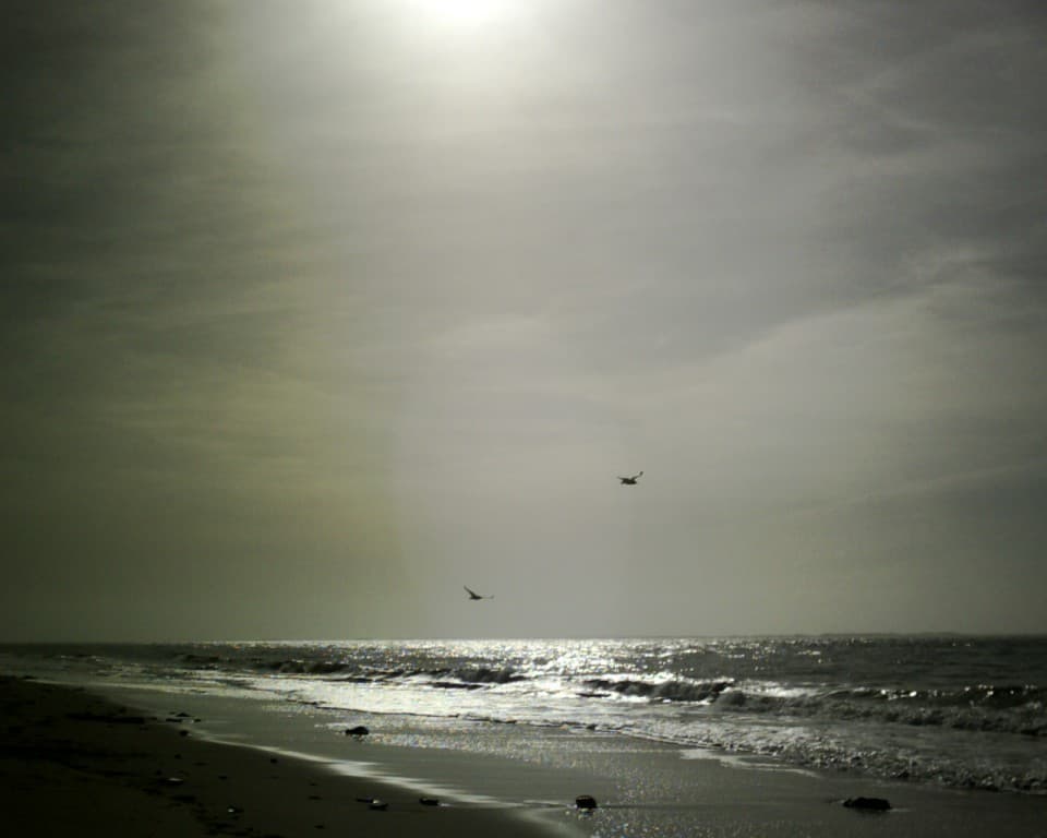 pyla 2009