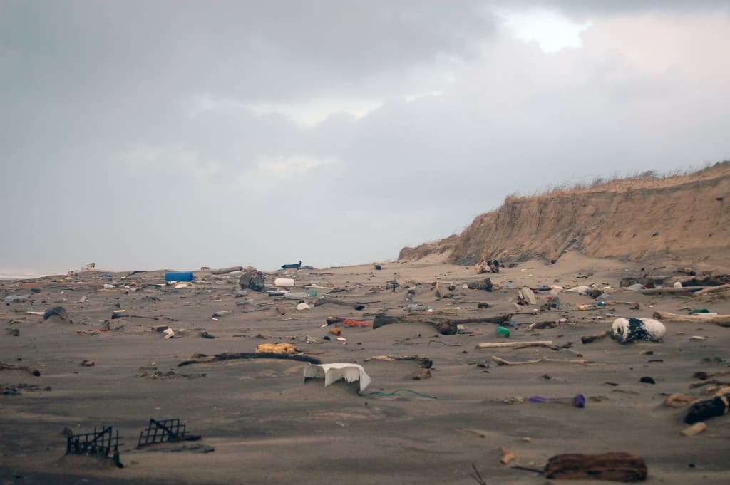 Erosion et pollution sur les plages .