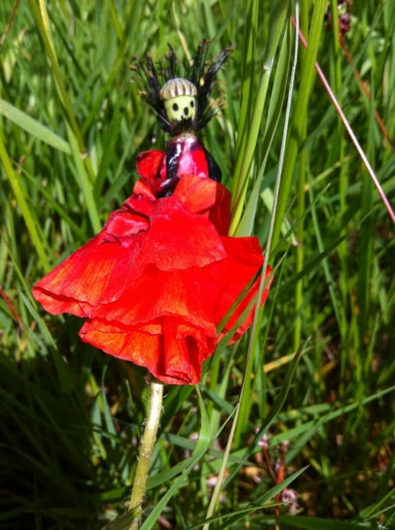 Madame  coquelicot 