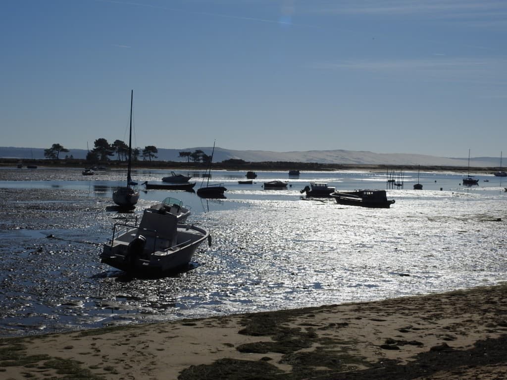 le bassin 