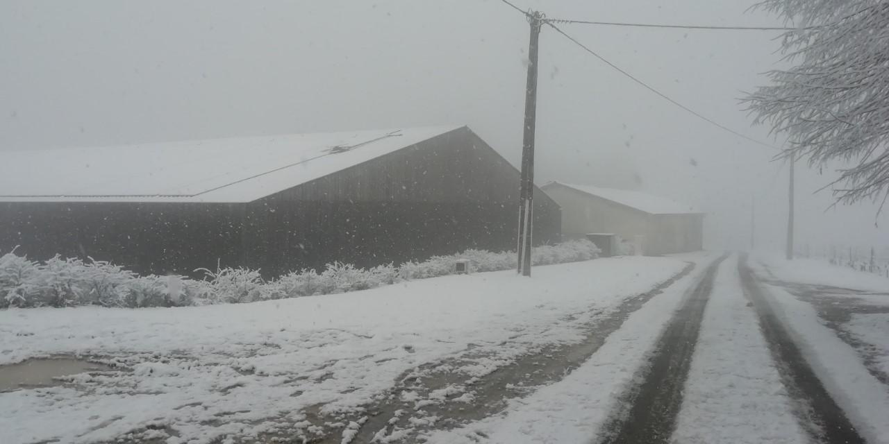 neige mercredi 18/01/2023 à Baurech