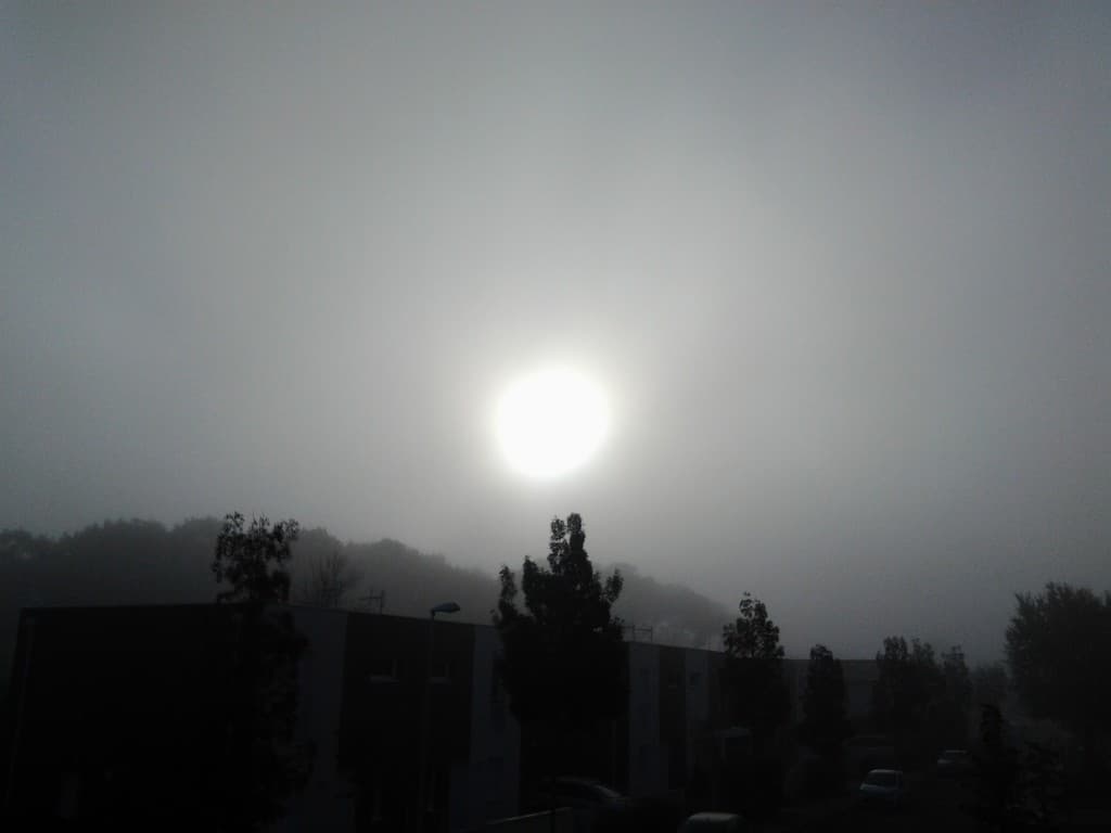 Image d'illustration pour La différence entre la brume et le brouillard