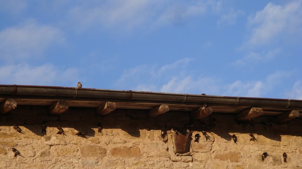 Image d'illustration pour Vos photos météo de la semaine